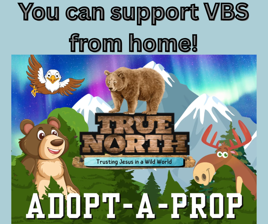 You can support VBS at home! (Facebook Post)